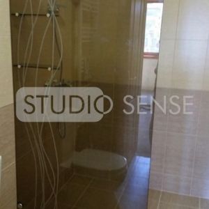 Modellato Decorated Shower Screen