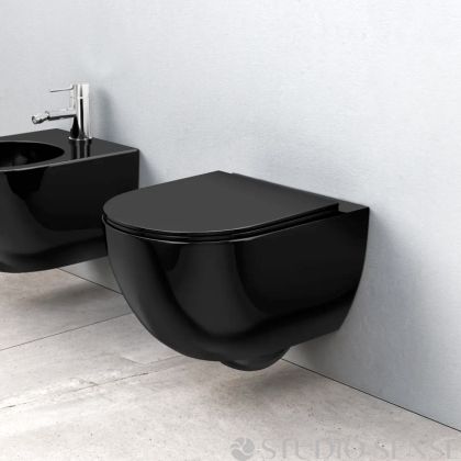 Carlo 48 Black Mini Rimless Hung Toilet
