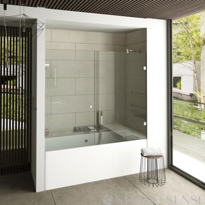 Linea Glass Bathtub Enclosure