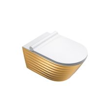 Hung Toilet New Classy Gold newflush™