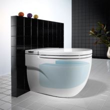Стояща тоалетна чиния с интегрирано казанче Meridian 60 IN-TANK 