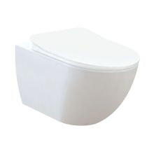 Free 51 Hung Porcelain Toilet