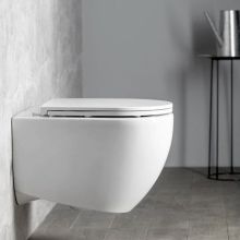 Infinity 53 Rimless Hung Toilet