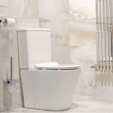 Zina 63 Rimless Close Coupled Toilet With Bidet