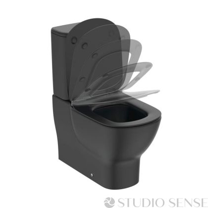 Tesi Black Silk Close Coupled Rimless Toilet 