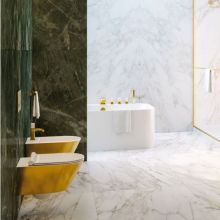 Hung Toilet Gold White newflush™