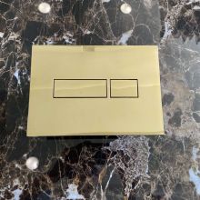 Sanit Classic Yellow Gold Concealed WC Element