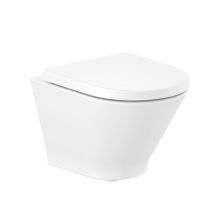 The Gap 48 ROUND Rimless Hung Toilet