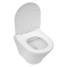 The Gap 48 ROUND Rimless Hung Toilet