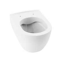 City 53 RImless Hung Toilet