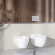 City 53 RImless Hung Toilet
