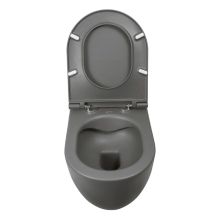 Infinity 53 Anthracite Rimless Hung Toilet