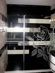 Linea Glass Shower Wall