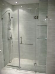 Lineale Glass Shower Wall